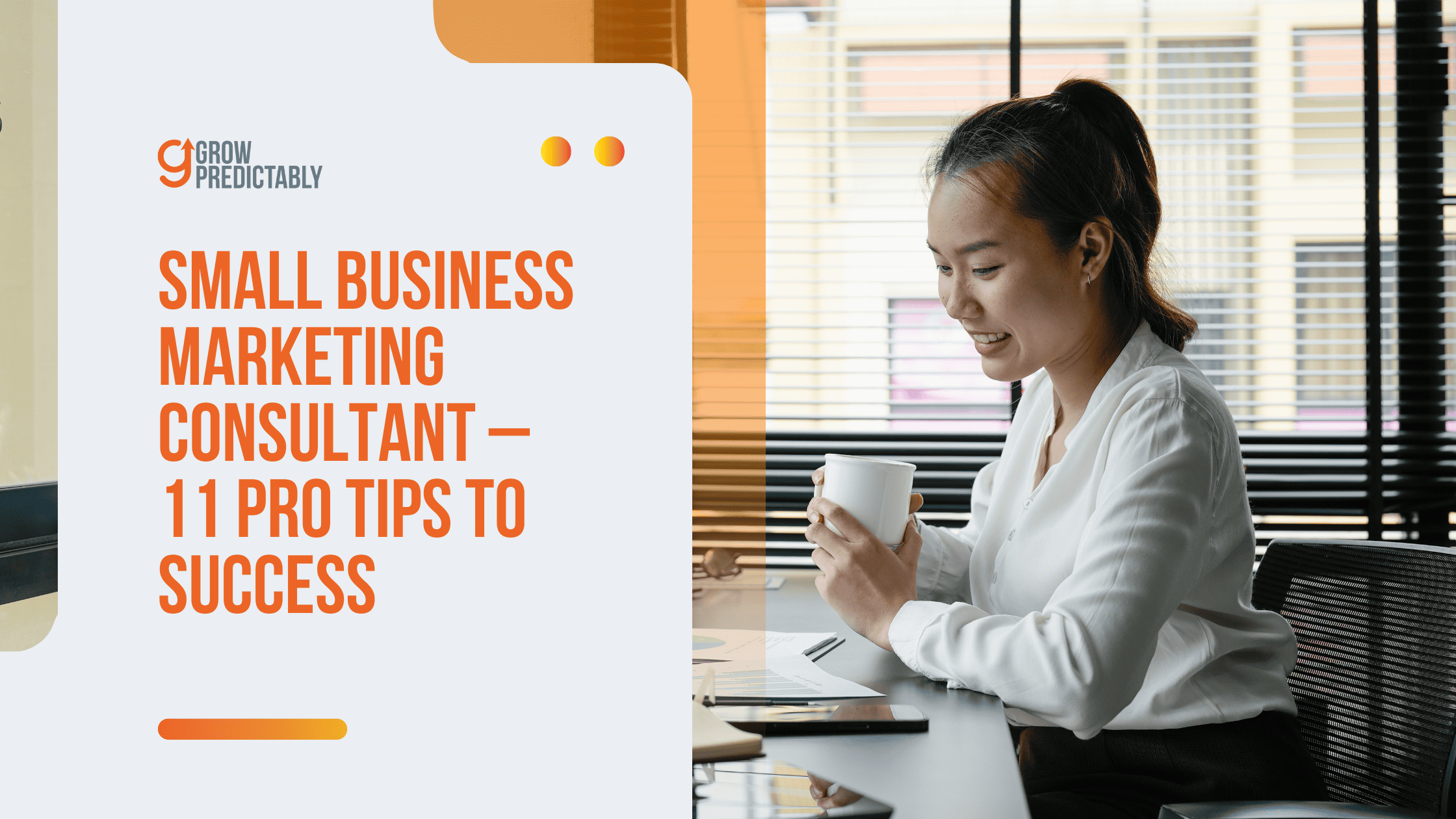 Small Business Marketing Consultant