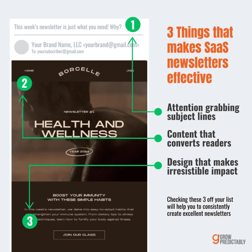 The Anatomy of a Successful B2B SaaS Email Newsletter