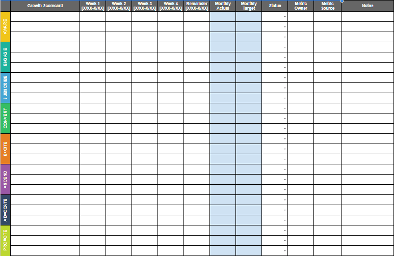An Example of a Growth Scorecard in a Spreadsheet Format